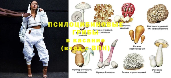 прущие грибы Бугульма