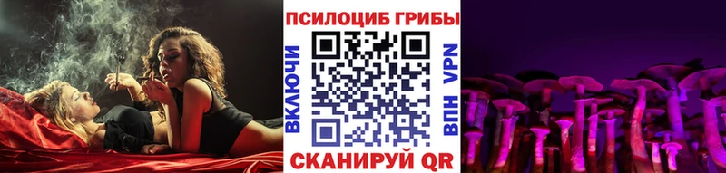 где купить наркоту  Безенчук  Псилоцибиновые грибы Psilocybine cubensis 